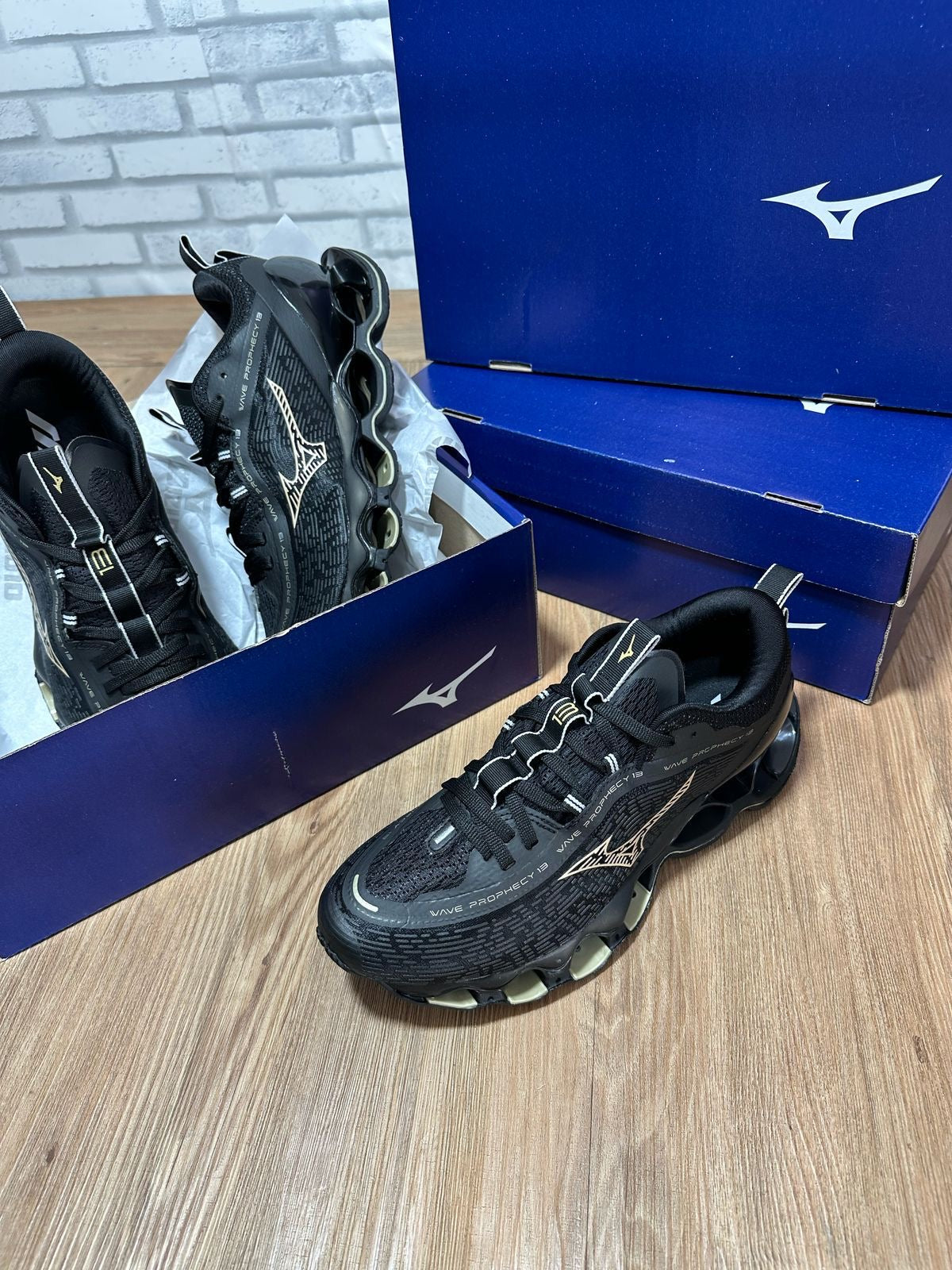 Mizuno Prophecy 13