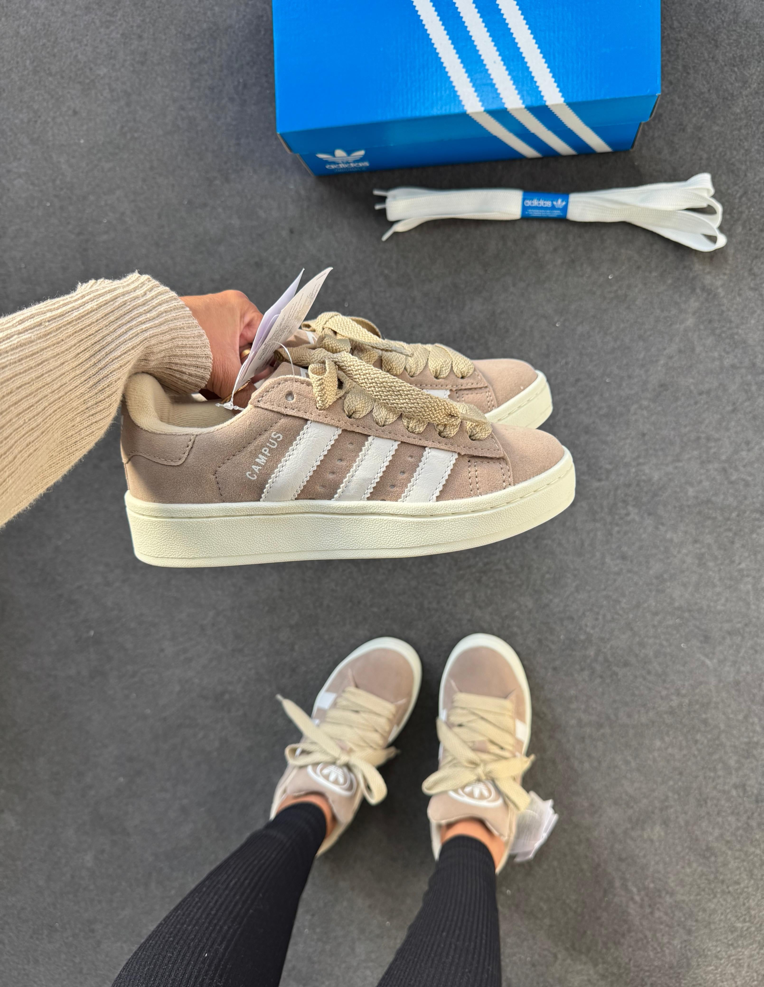 Adidas Campus - Bege